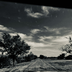 Fall