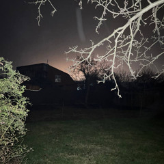 Wisp - Pandora (remix by aqimoree)