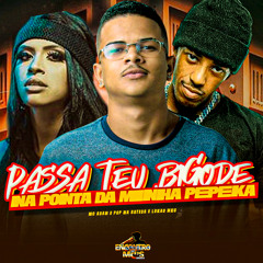 PASSA TEU BIGODE NA PONTA DA MINHA PEPEKA