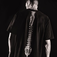 AD7USTMENT - Seventeen (Extended Mix)