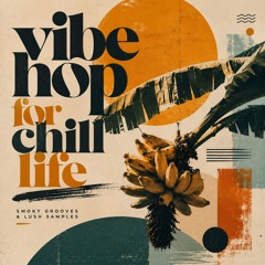 VIBE HOP FOR CHILL LIFE