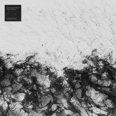 Grove Anemone / Cats of Dust "Erlking"