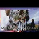 on Ma_Jo by BaNith Bro X Ngawang Bhai X PeNJoR