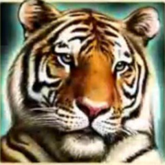 acoustic tigran prod reactance