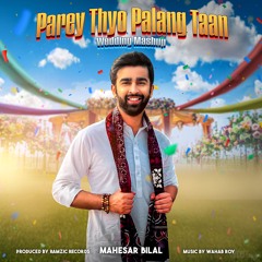 Parey Thyo Palang Taan | Sindhi Wedding Mashup 2025 | Mahesar Bilal | Ramzic Records