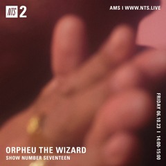 Orpheu The Wizard 061023