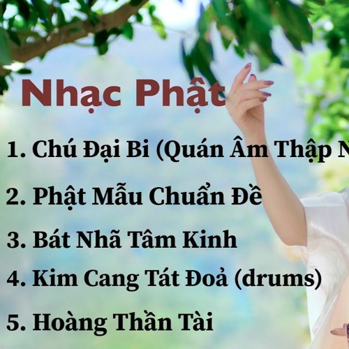 Tổng Hợp Các Bài Thần Chú  Mật Tông Kim Cương Thừa Nhạc Phật 320kbps