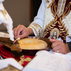 Nativity Fast Fraction - Fr Antonious Takla