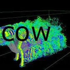 The Aerodynamics Of A Cow