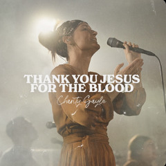 Cover of Thank You, Jesus, for the Blood