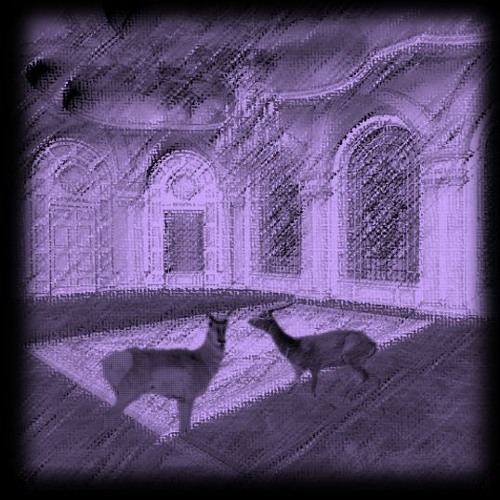 waltz of the antelope - T7 R5