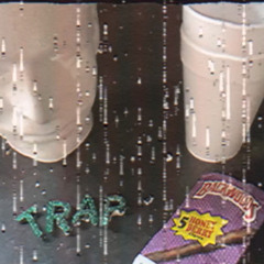 T.R.A.P (Prod.1kprodkk)