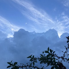 Before the Storm