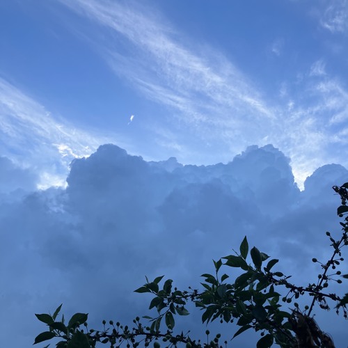 Before the Storm