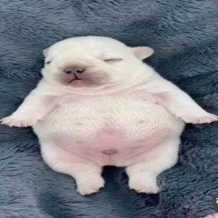 WASH MY BELLY [FREE DL]