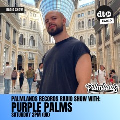 Palmlands Records Radio Show with: Milyo (Episode 0011)