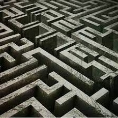 The Maze