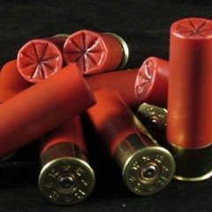 Red Shells Muzzle Ft Signs (1)
