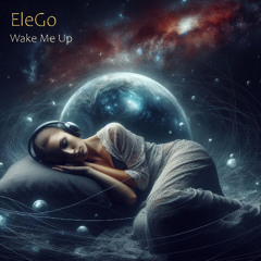 Wake Me Up