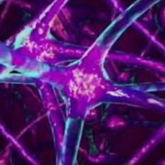 Brain Of Knowledge