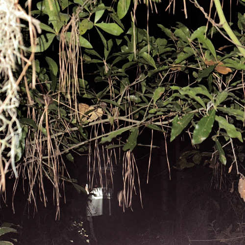 i’ll figure it out by the time I get to where I need to be