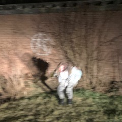 New & hot: Alternative Rock