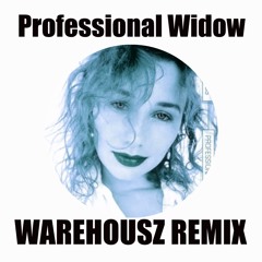 Tori Amos - Professional Widow [Warehousz Extended Remix] *Free Download*
