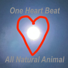 One Heart Beat