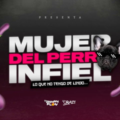 DJ Bryanflow, DJ Crazy, Tego Calderon - MUJER DEL PERREO INFIEL (Lo Que No Tengo De Lindo)