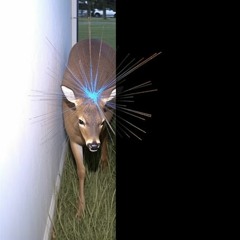 ??????????????????????????????? \???????????????????????????????