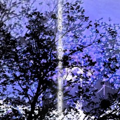 the last night [prod. before grim]