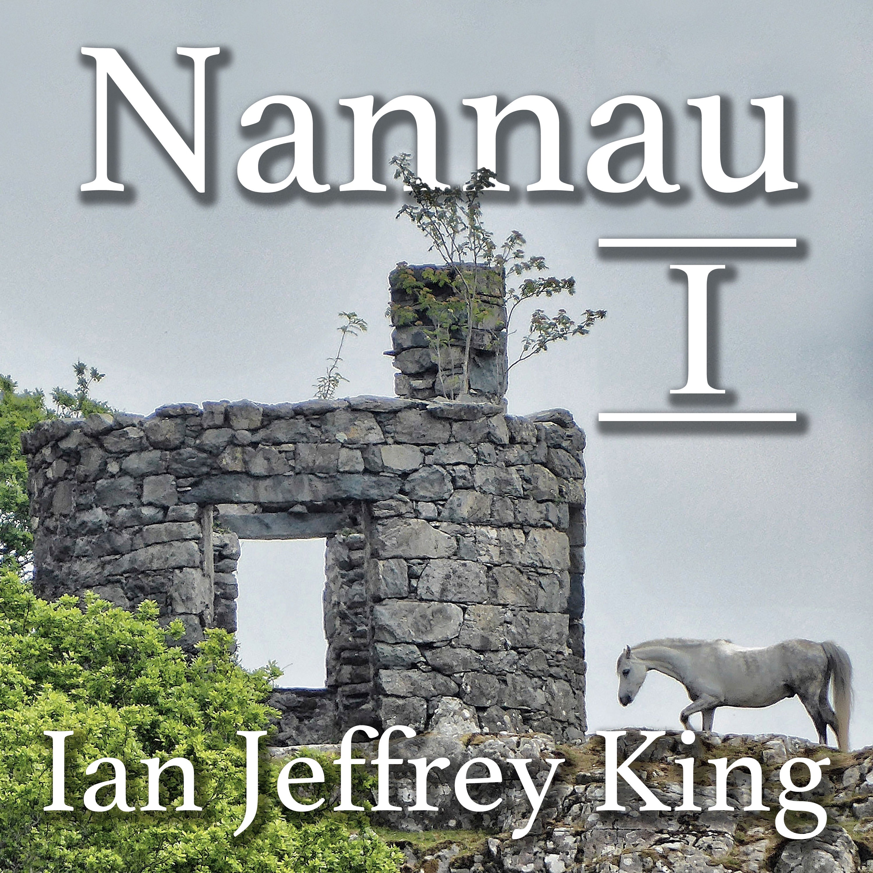 Ian Jeffrey King
