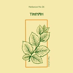 Herbarium No 26 - Timnah - Fagus Sylvatica