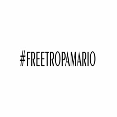 FREE TROPA MARIO (ft: loran & plastic)