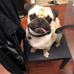 Steal Away - JHE Chunky version!