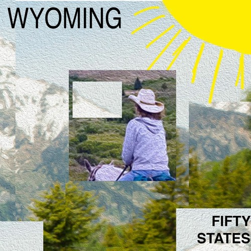 Stream The 44th State Song Sufjan S 50 States Tribute By Our Fifty States Project Listen Online For Free On Soundcloud