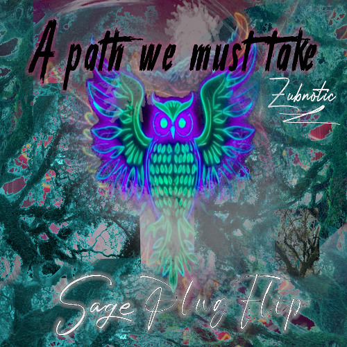 Zubnotic- A Path We Must Take (SAGE PLVG flip)