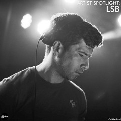Artist Spotlight: LSB