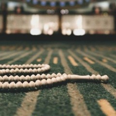يَا بُنَيَّ ارْكَب مَّعَنَا وَلَا تَكُن مَّعَ الْكَافِرِينَ | العفاسي