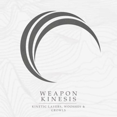 Weapon Kinesis - applying Weapon Kinesis to the same dummy blade sound