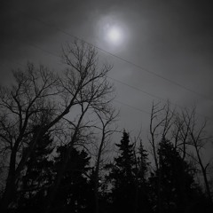 Omission - Slowed & Reverbed