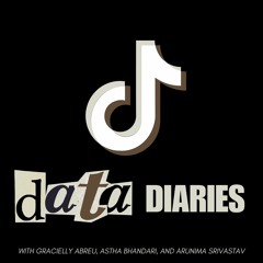 Data Diaries: Unpacking the TikTok Algorithm and Data Practices