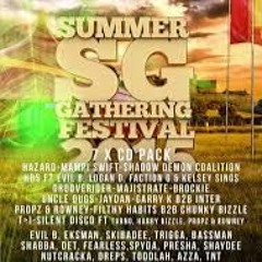 Voltage @ Summer Gathering 2015
