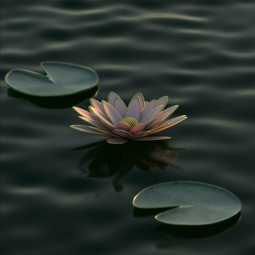 2 not a player (DJ Pharaoh blend ❤️)