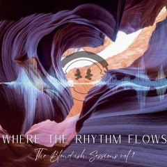 Where the Rhythm Flows - The Blond:ish Sessions Vol 1