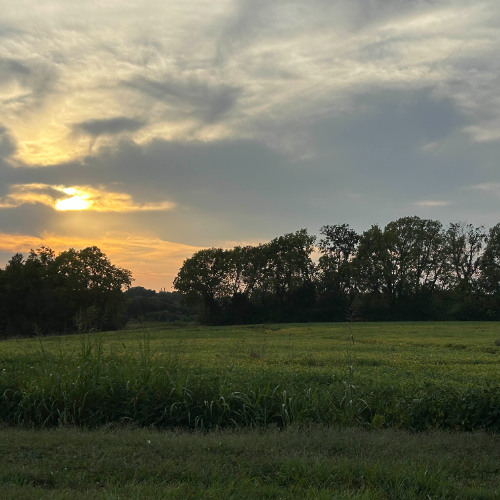 A Relentless Race Within The Corridors Of My Mind Vl