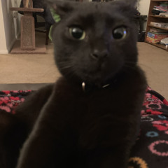 fukkedup ///  prod.dynasty!