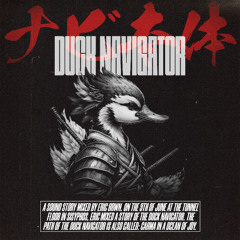 Duck Navigator:Tunnel Closing @Sisyphos ///09.06.2024