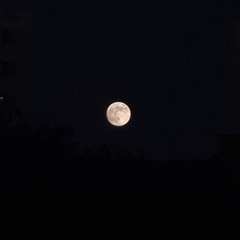 21살 MZ청년이 노래로 여자 꼬시는 방법 (화개장터).mp3