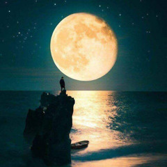 Sorry For The Wait (intro)